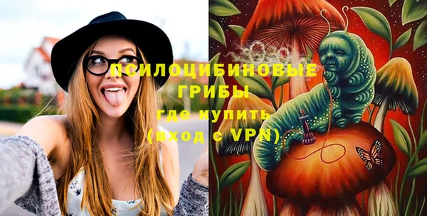 mdpv Инта
