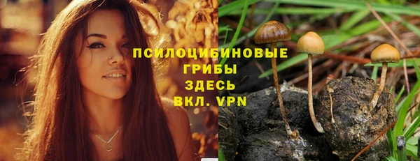 дживик Иннополис