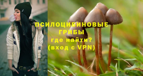 марки lsd Инсар