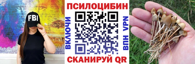 Галлюциногенные грибы GOLDEN TEACHER  Купить  Старый Крым 
